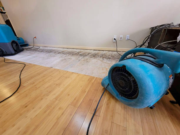 Professional Ceiling Water Damage Repair technician working in Dayton, TN